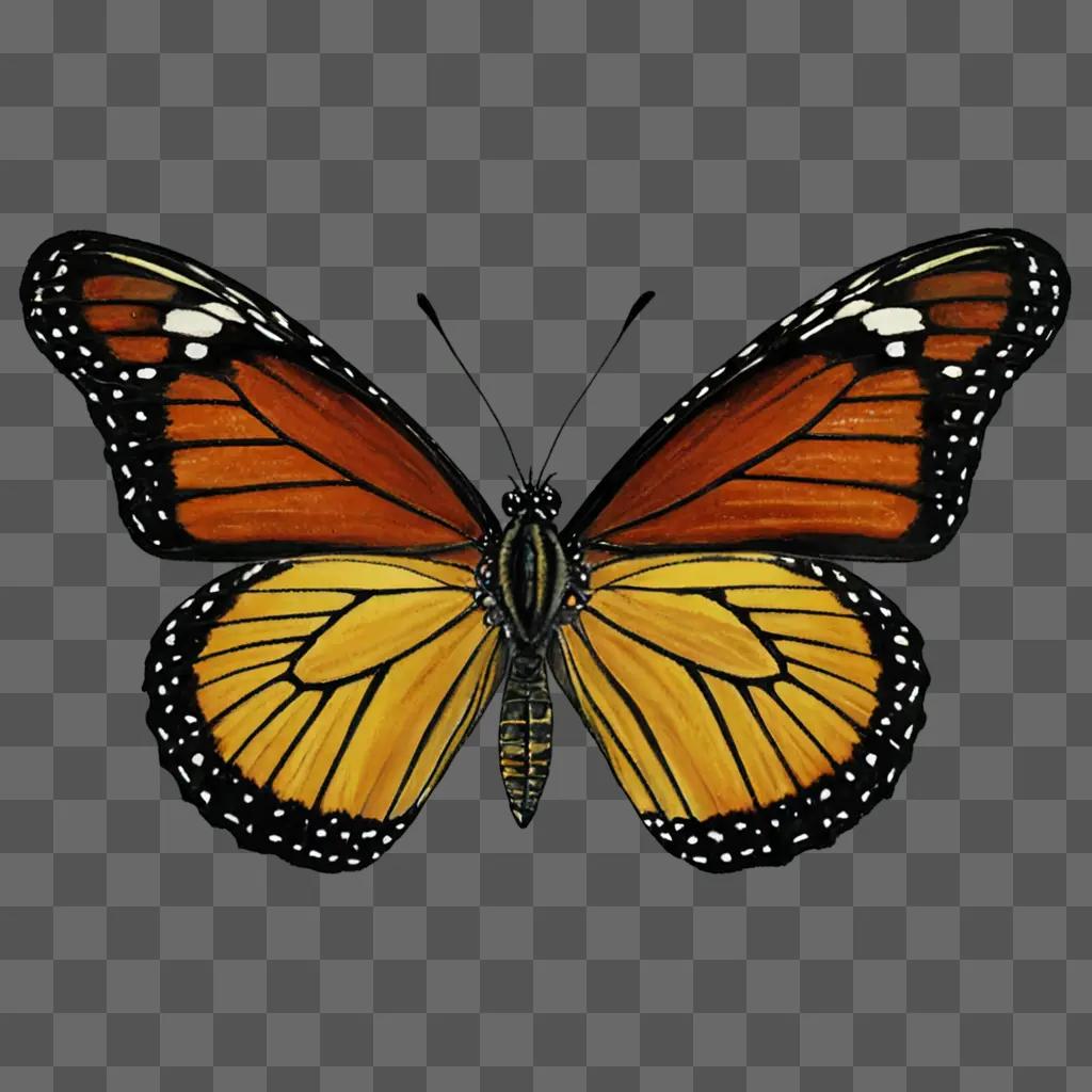 A realistic butterfly drawing of a monarch butterfly