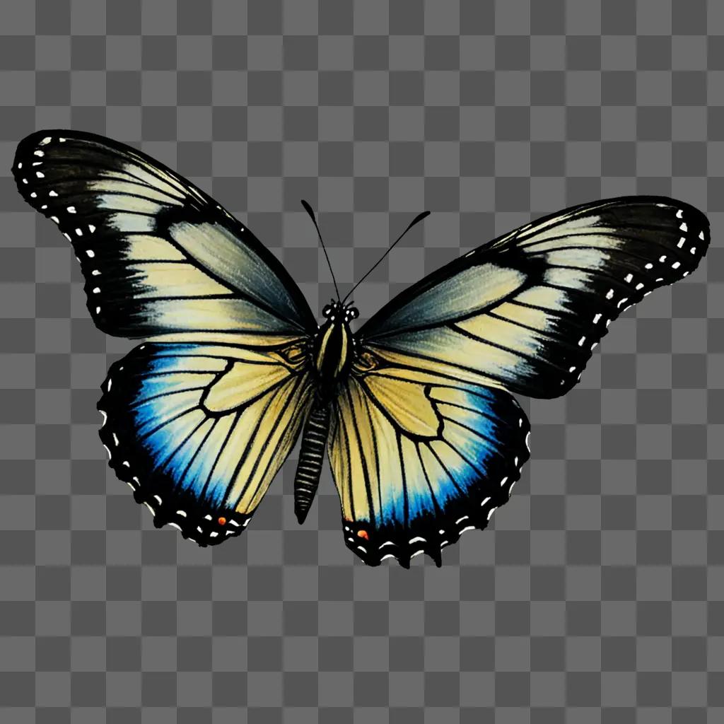 A realistic butterfly drawing on a black background