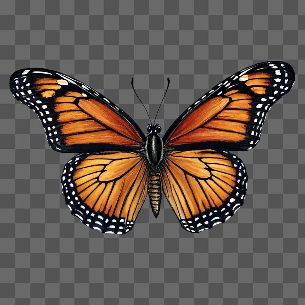 A realistic butterfly drawing on a brown background