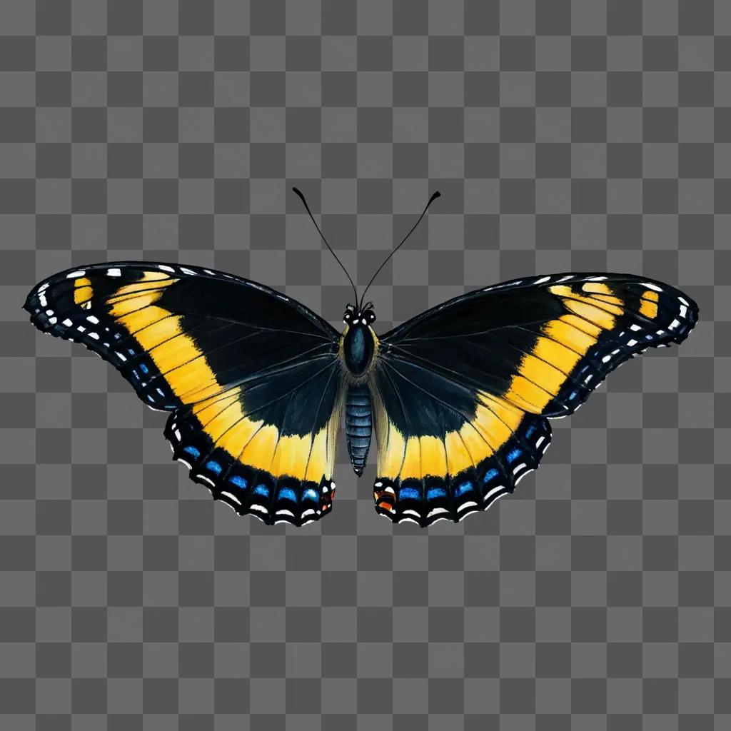 A realistic butterfly drawing on a dark background