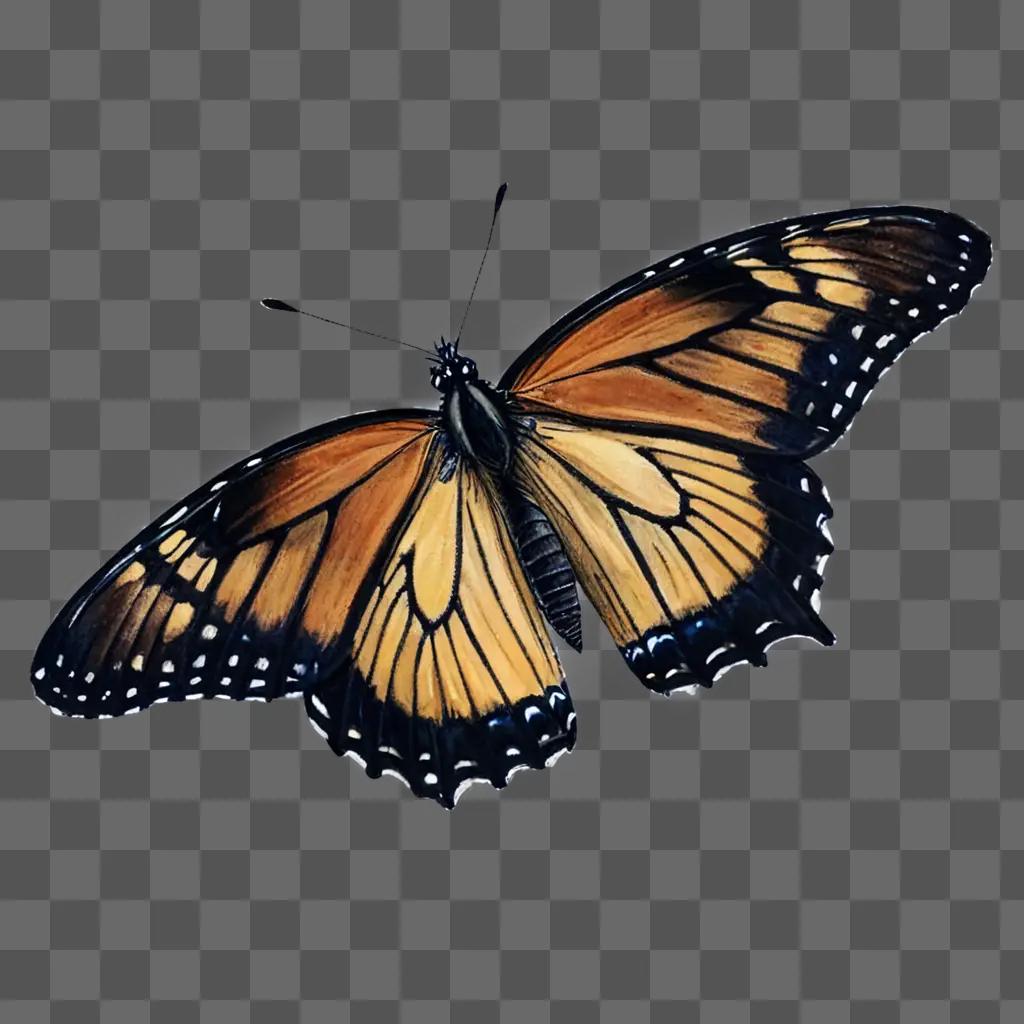 A realistic butterfly drawing with black wings and black spots