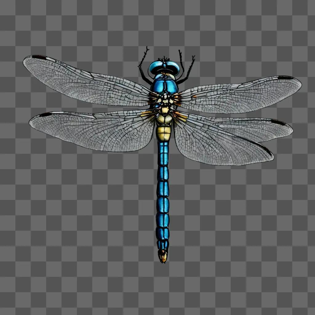 A realistic dragonfly drawing on a gray background