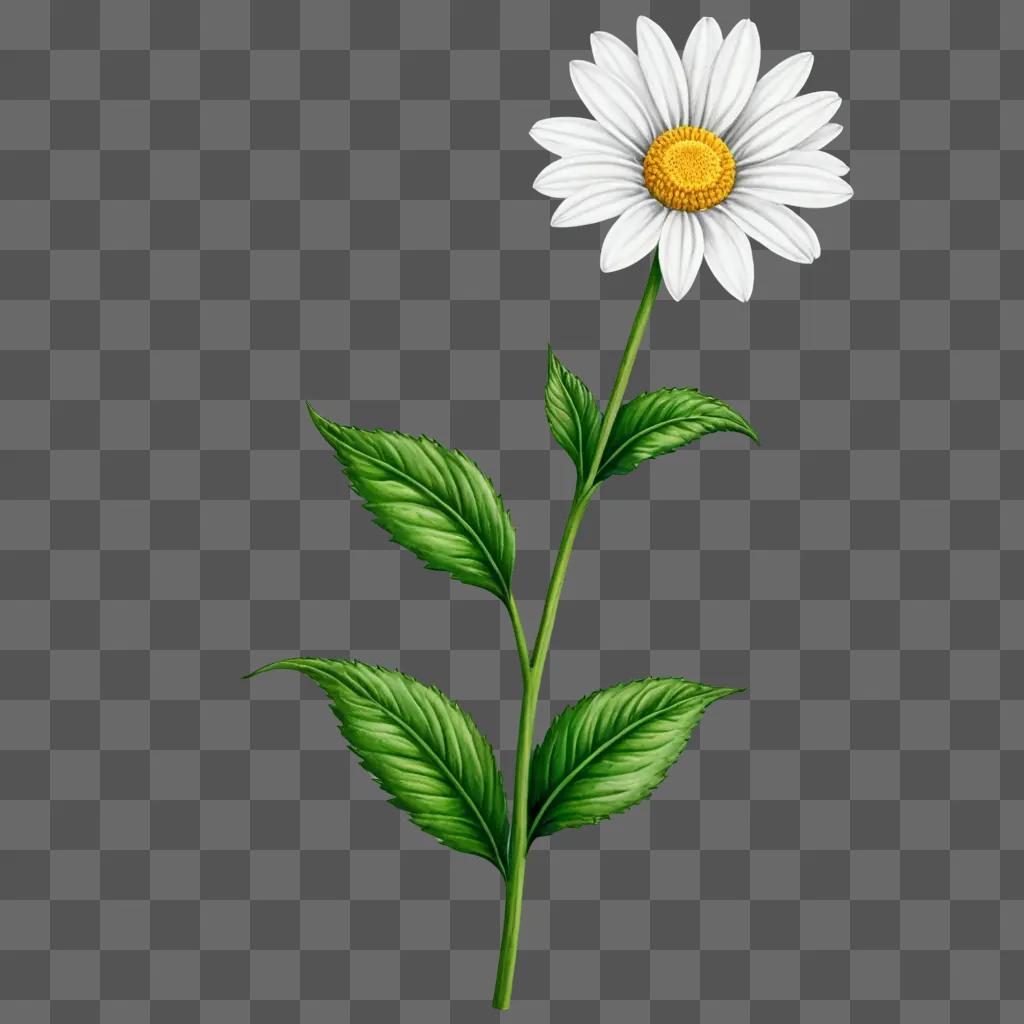 A realistic drawing of a daisy on a green background