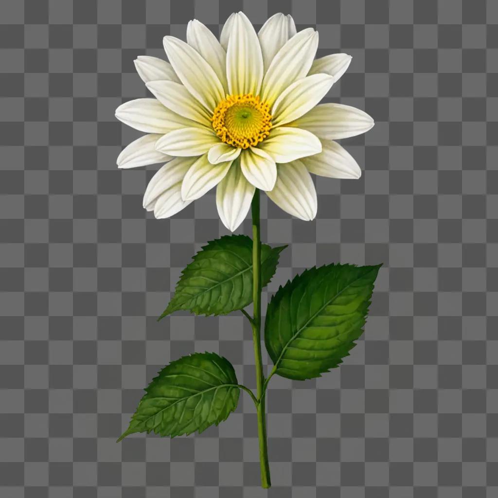 A realistic flower drawing of a daisy