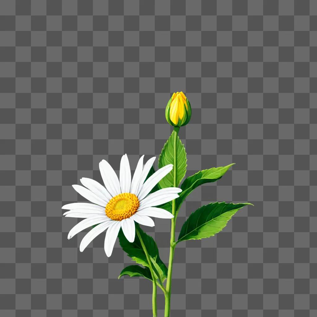 A realistic flower drawing with a green background