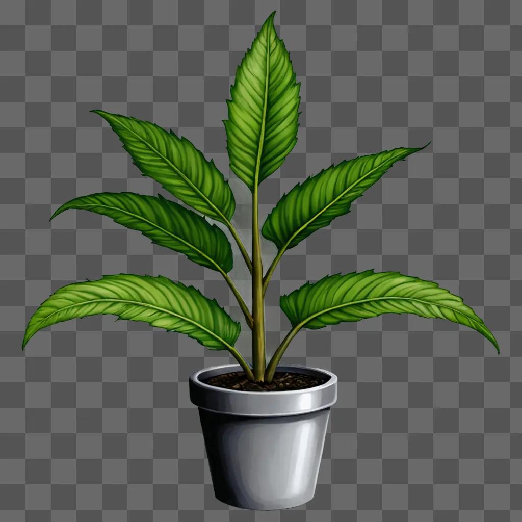 A realistic plant drawing is displayed in a white pot