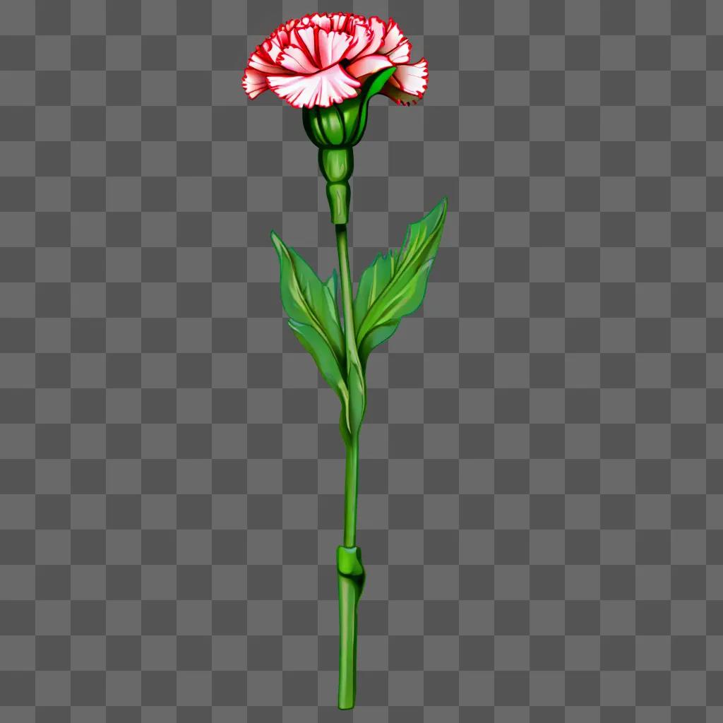 A red carnation with a green background