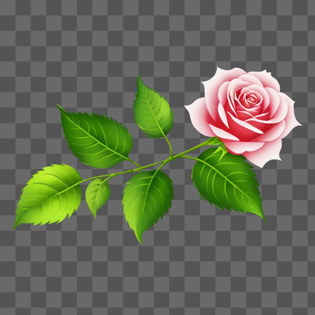 A rose flower drawing on a green background