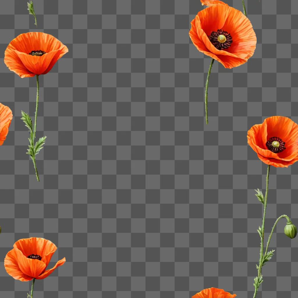 A series of poppy flowers on a bright orange background