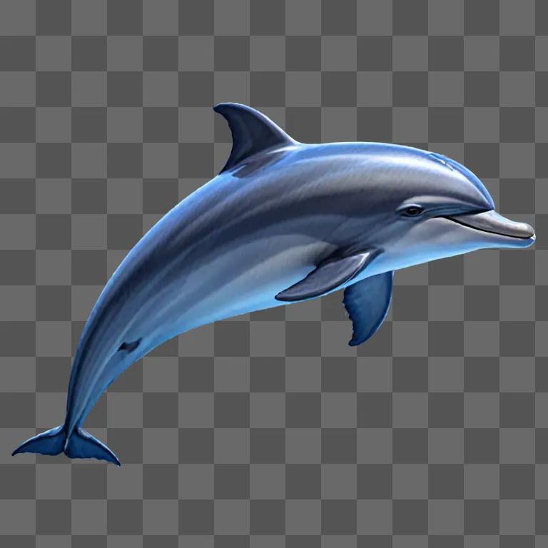 A side view of a dolphin drawing