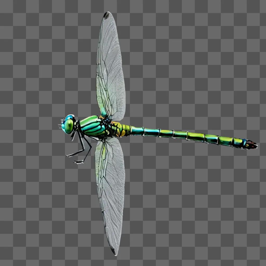 A side view of a green and blue dragonfly with long tail feathers