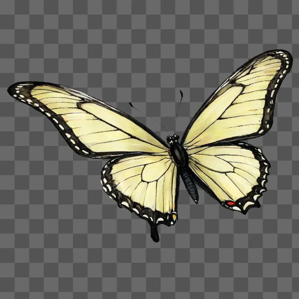 A simple butterfly drawing on a gray background