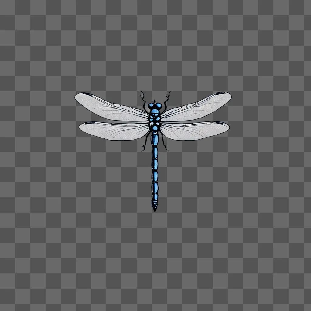 A simple dragonfly drawing against a grey background