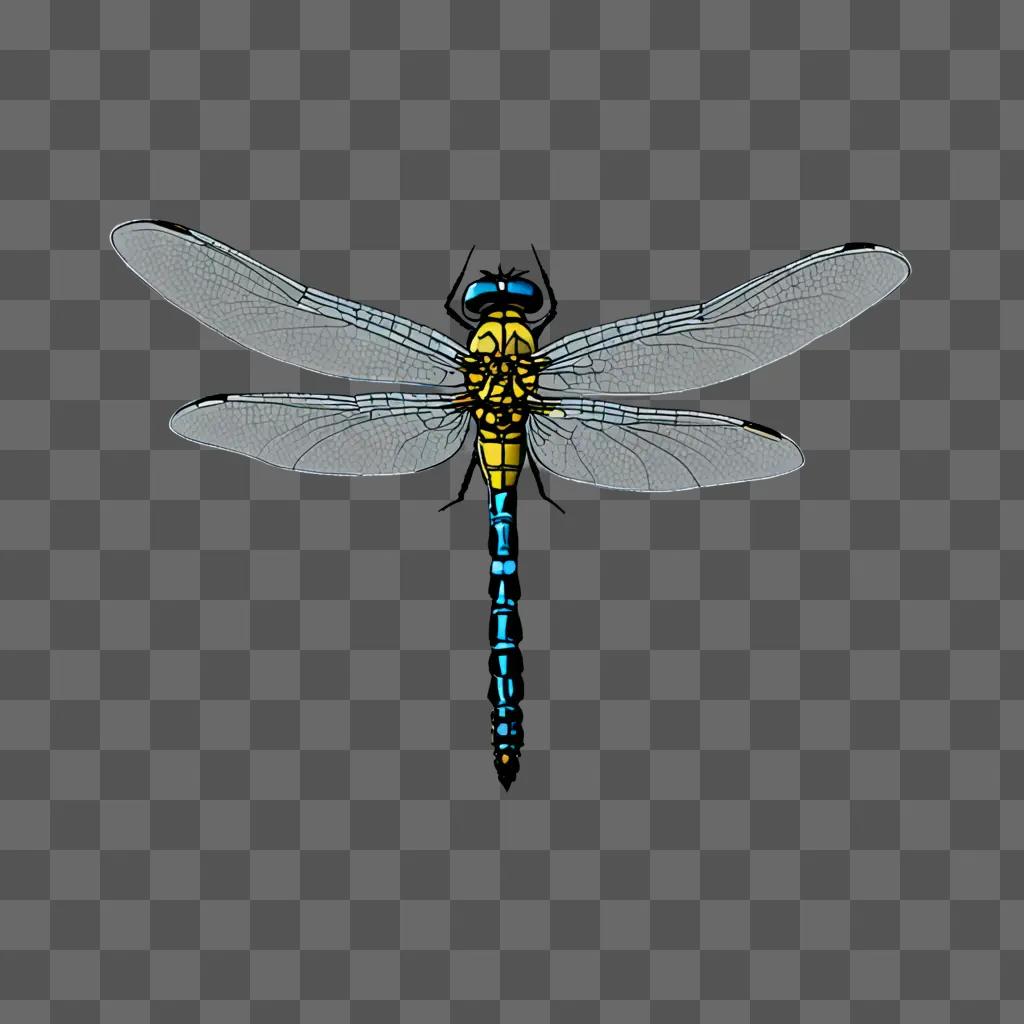 A simple dragonfly drawing on a gray background