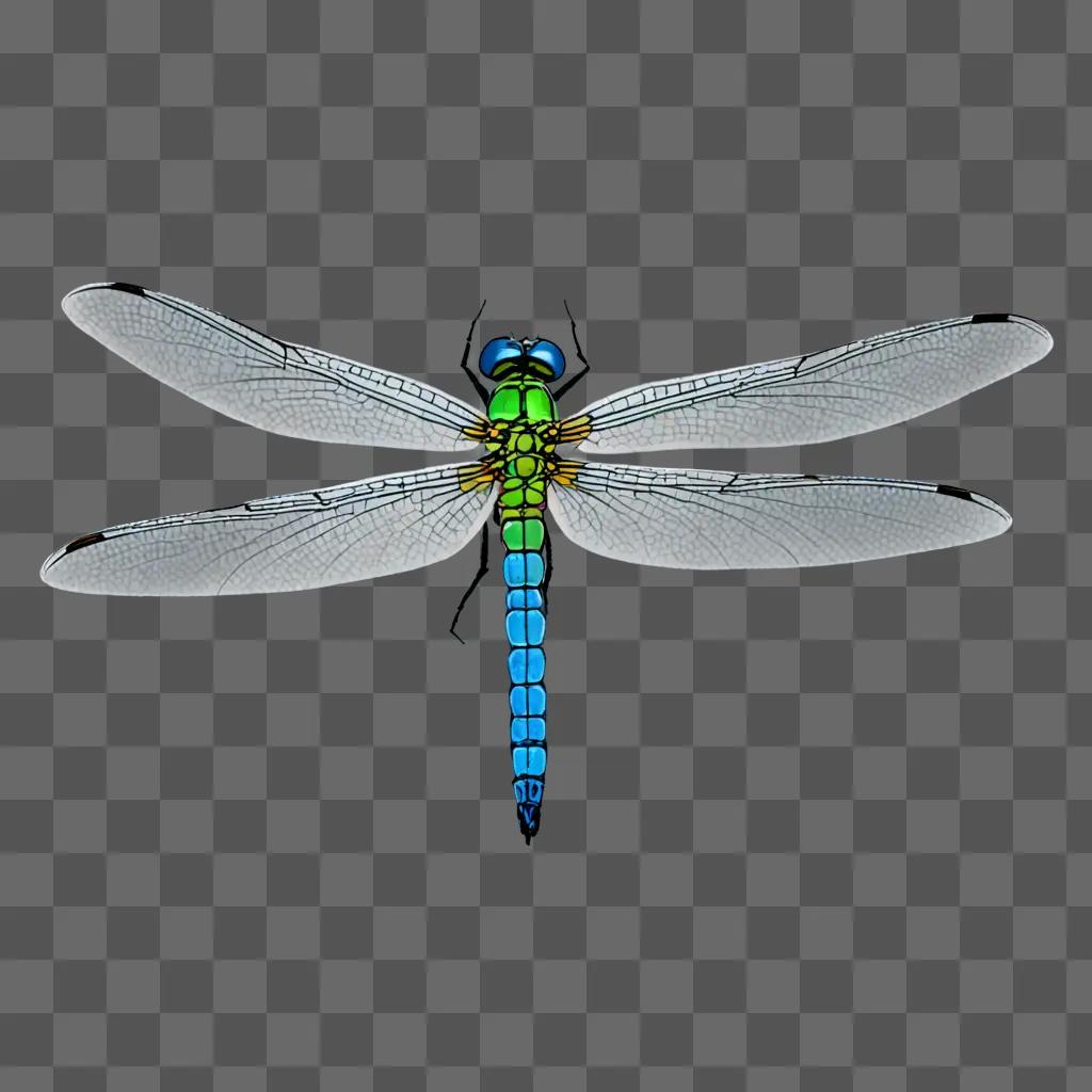 A simple dragonfly drawing on a gray background