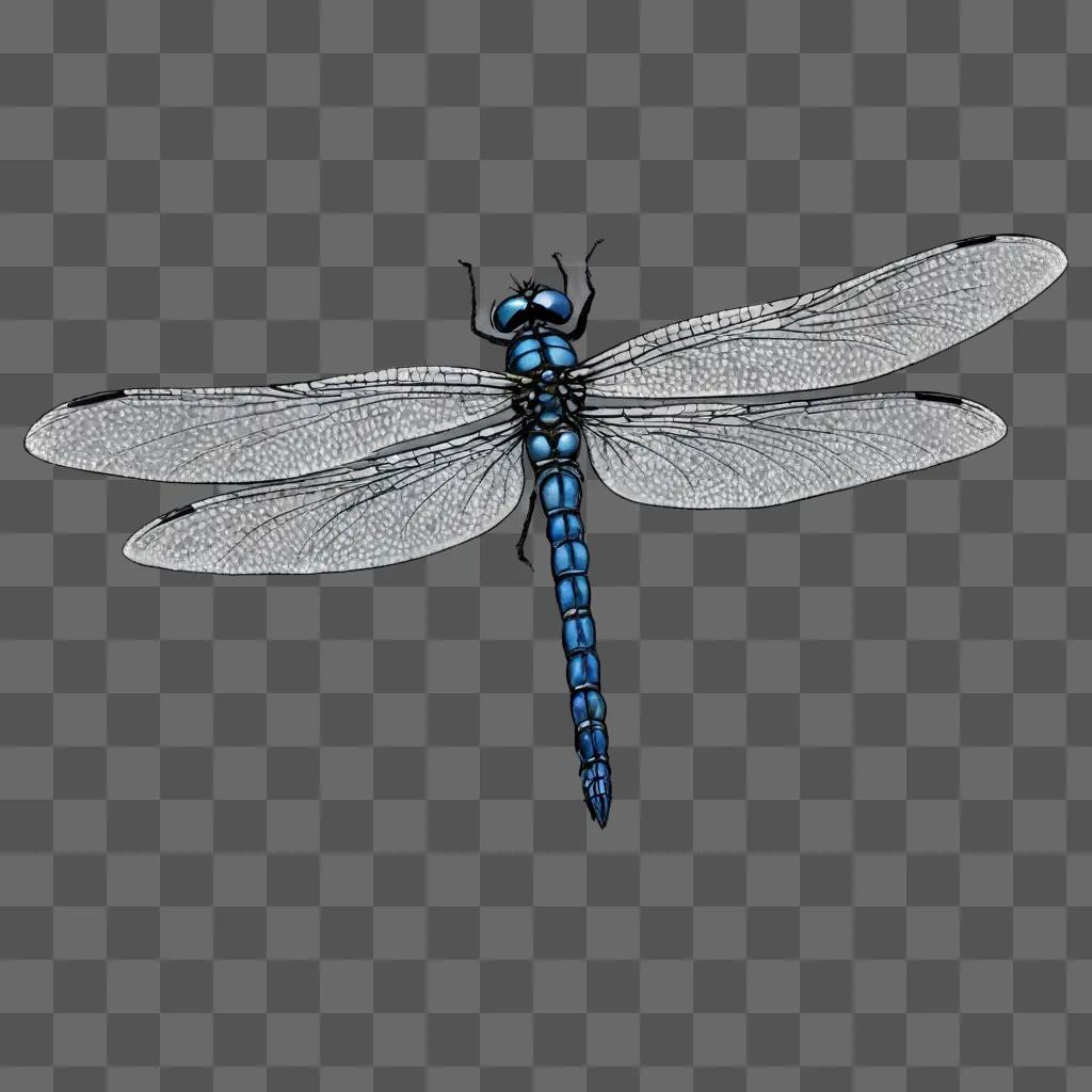 A simple dragonfly drawing on a gray background