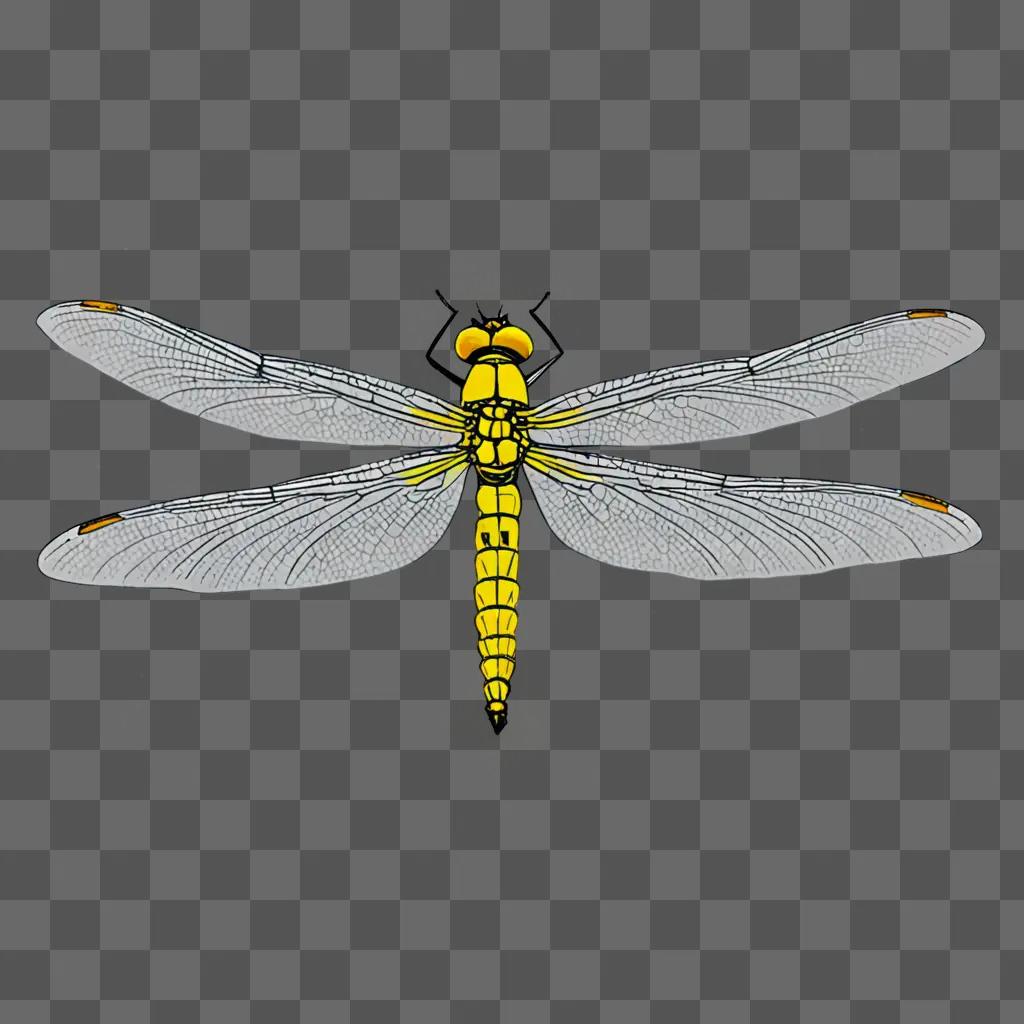 A simple dragonfly drawing on a grey background