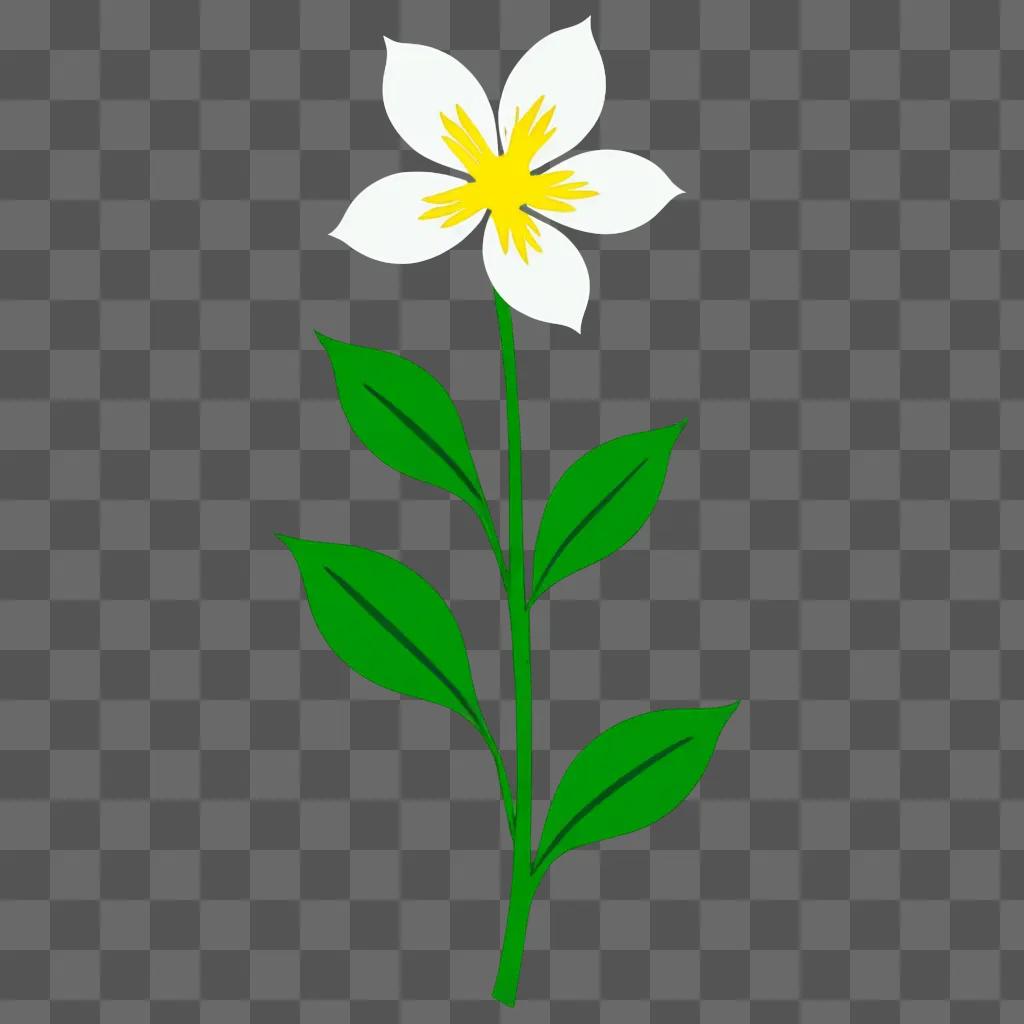 A simple flower drawing on a green background