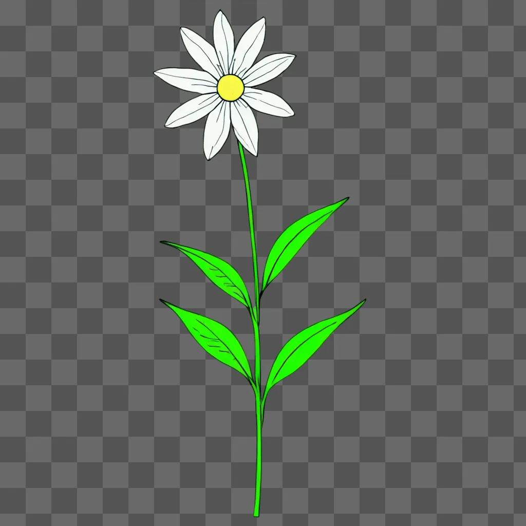 A simple flower drawing with a green background