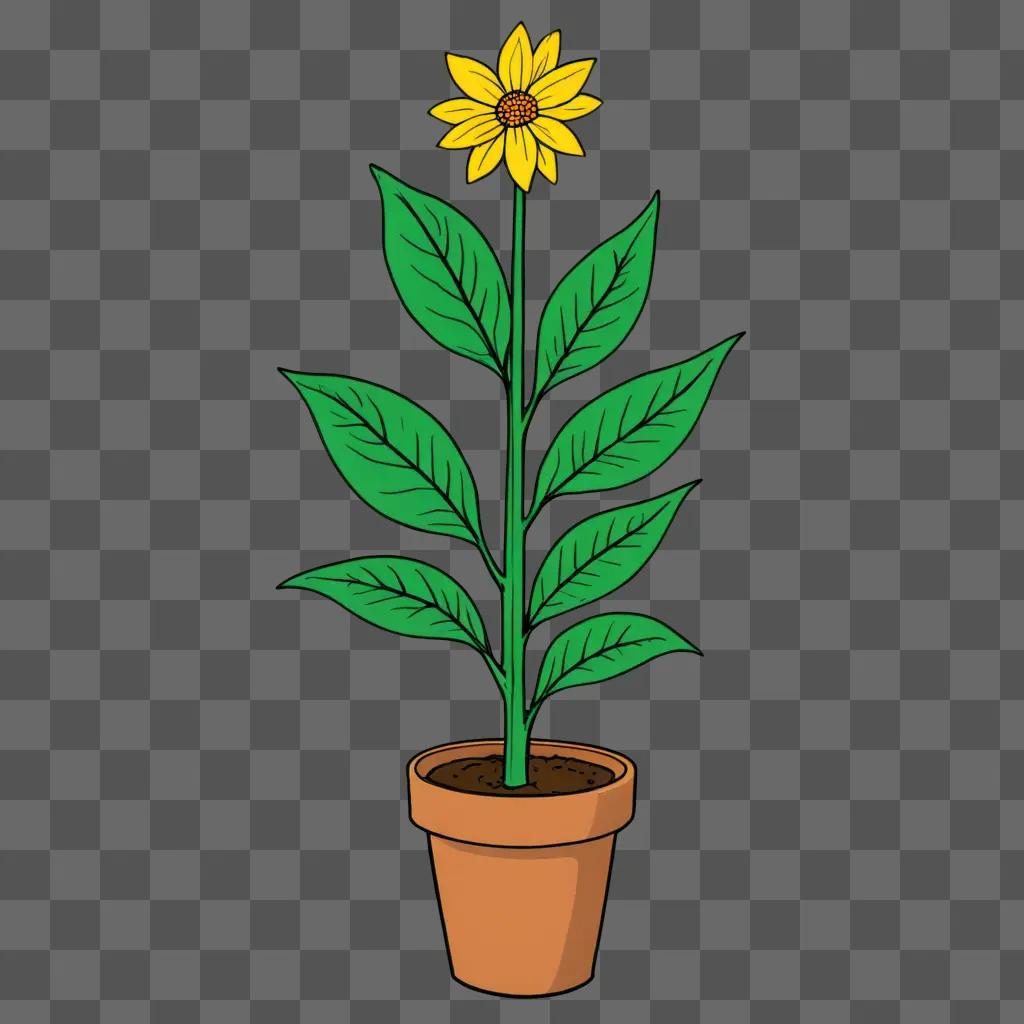 A simple plant drawing with a sun in the center