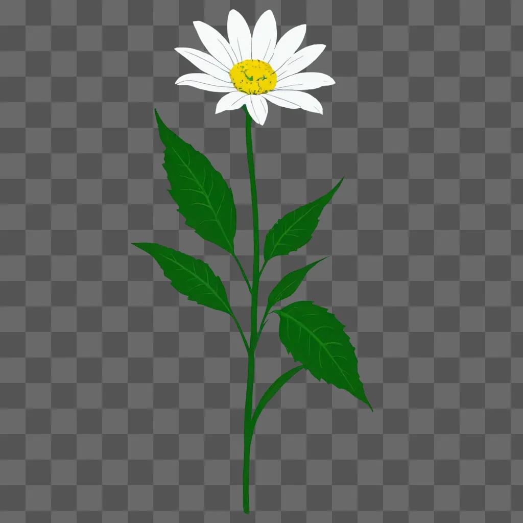 A simple white flower drawing on a green background