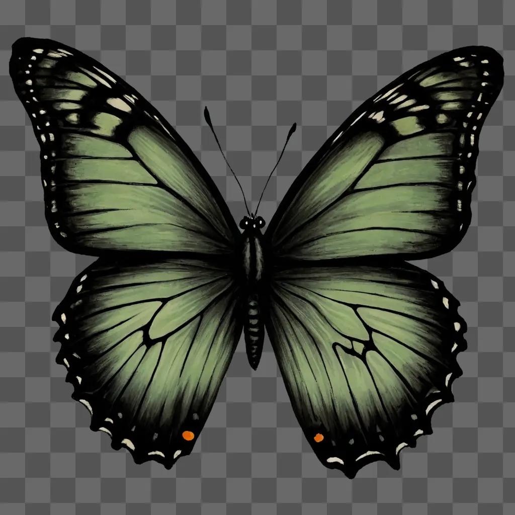 A sketch of a butterfly on a black background