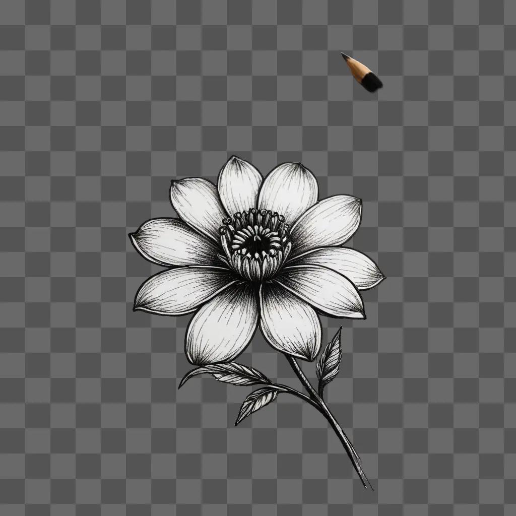 A small black and white flower drawing is shown