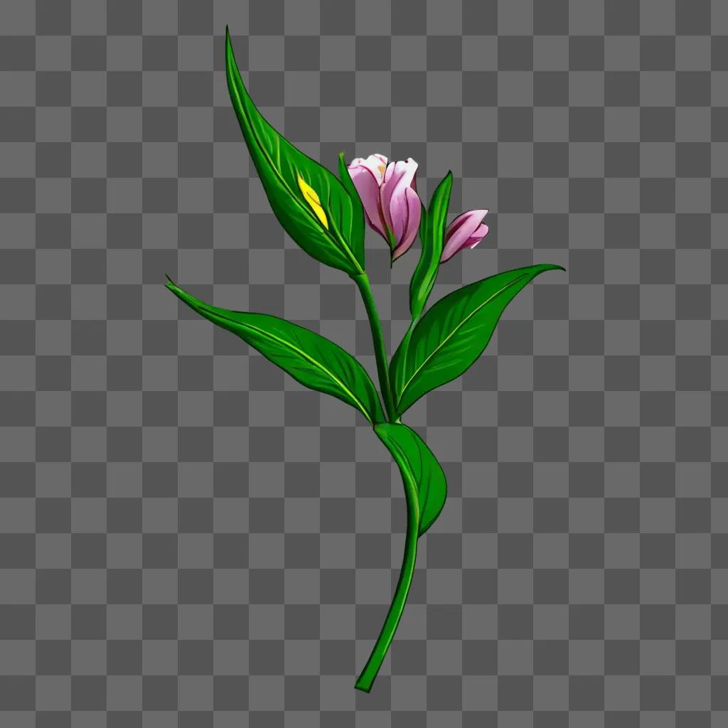 A small flower drawing on a green background