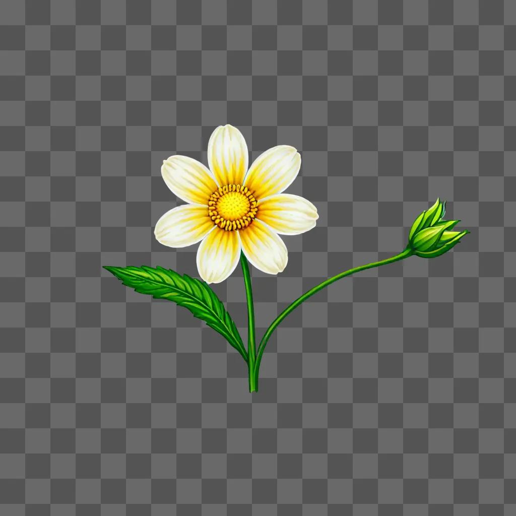 A small white flower drawing on a green background