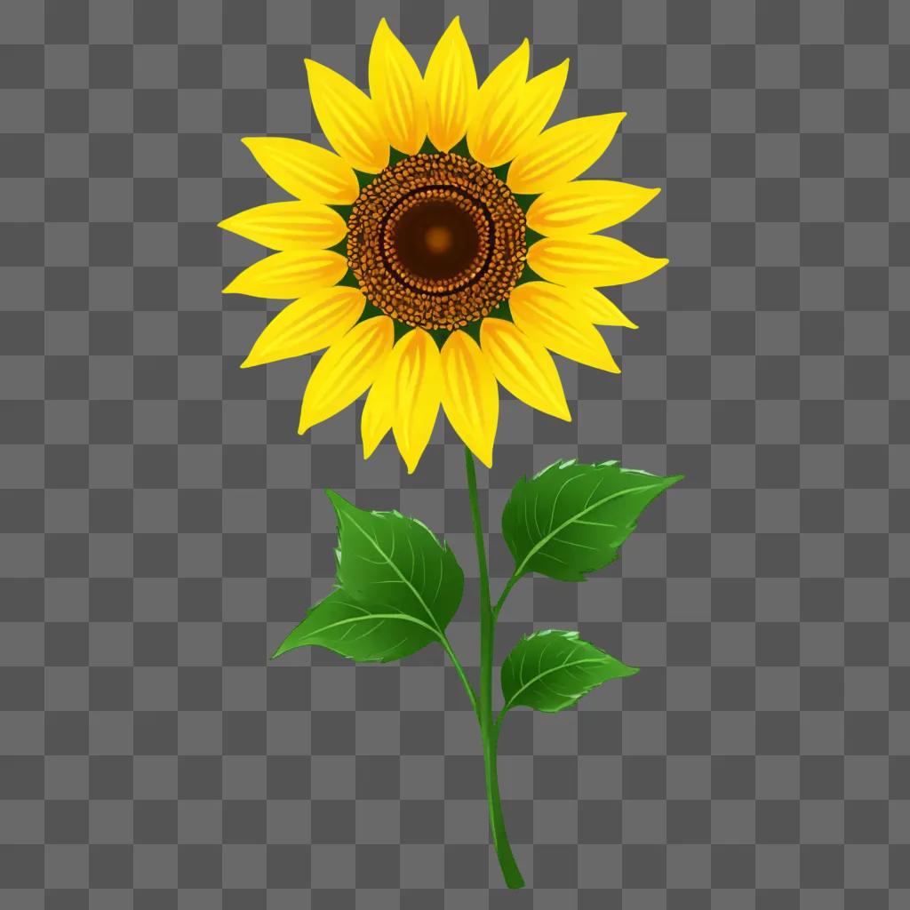 A sunflower drawing with a green background