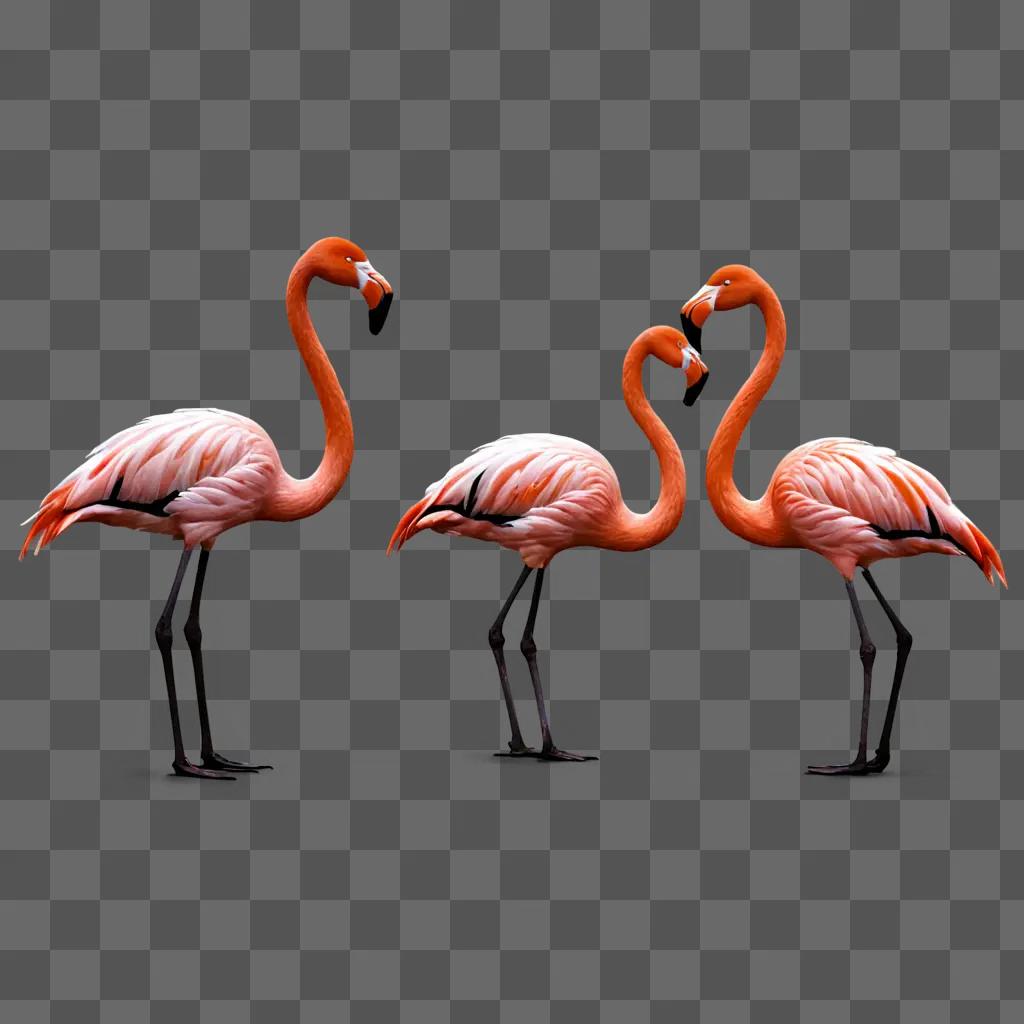 A trio of flamingos stand in silhouette against a pink background