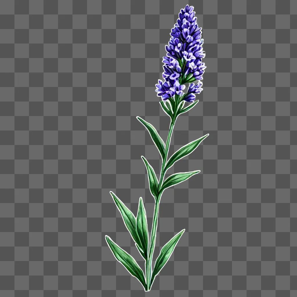 A vibrant lavender flower drawing on a light background