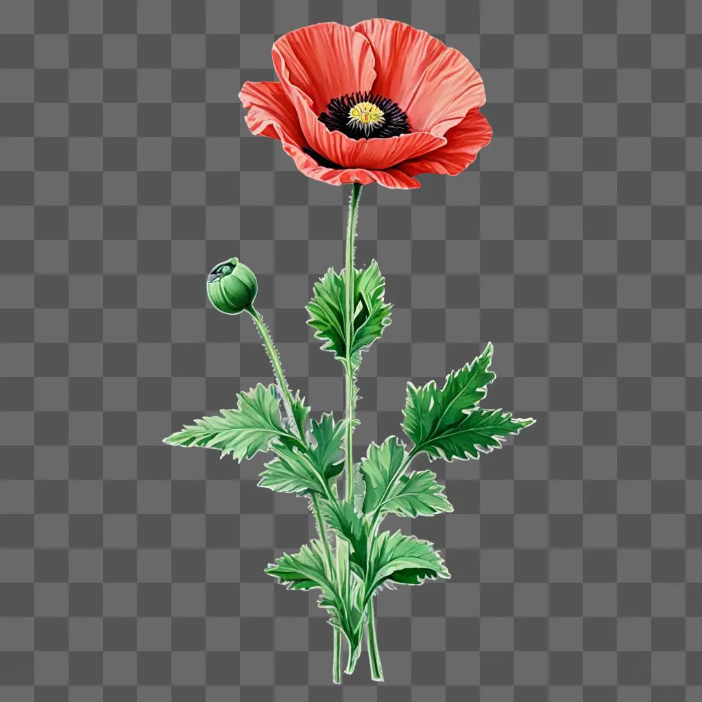 A vibrant poppy flower with green leaves