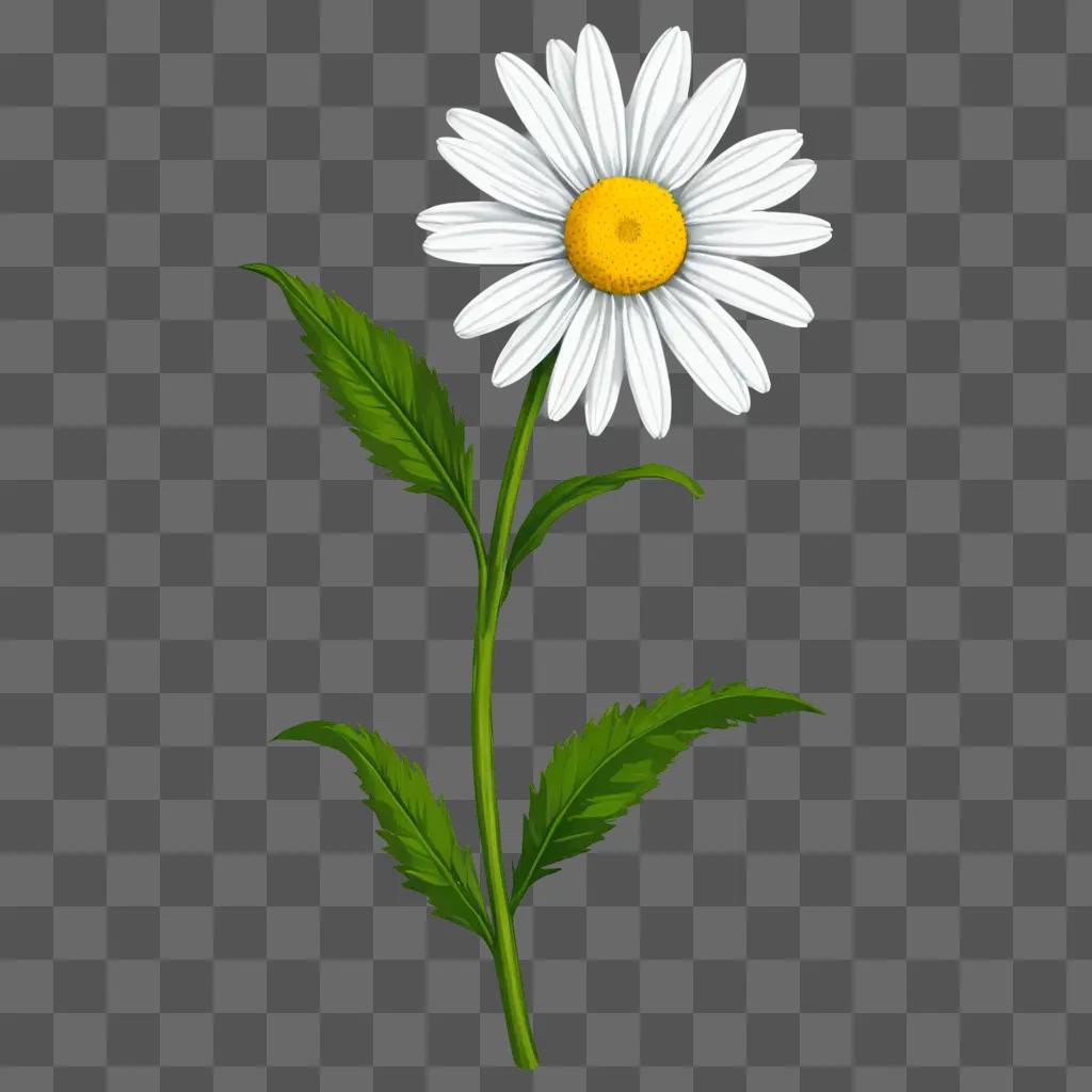 A white daisy drawing with green leaves