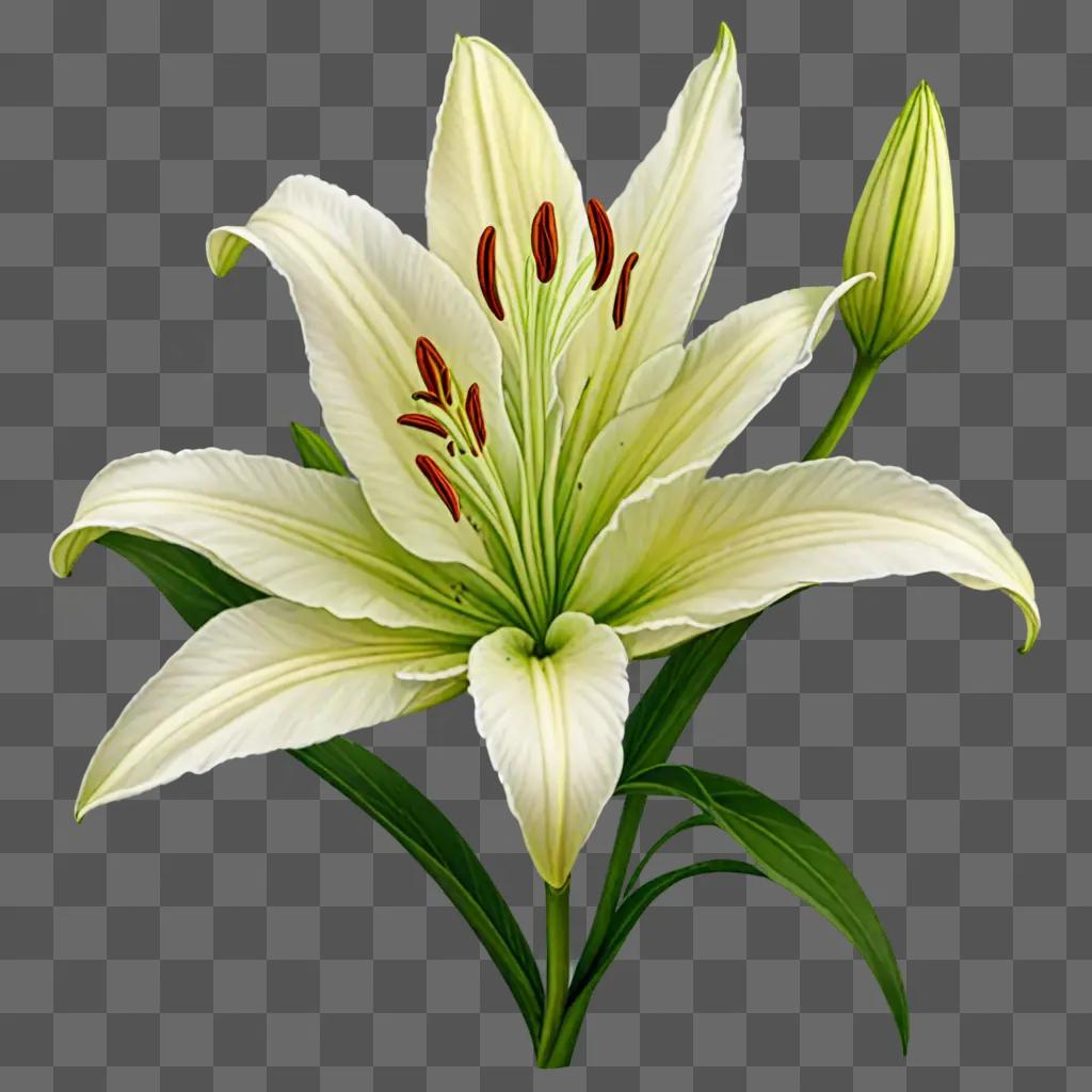 A white flower with red spots on the stem