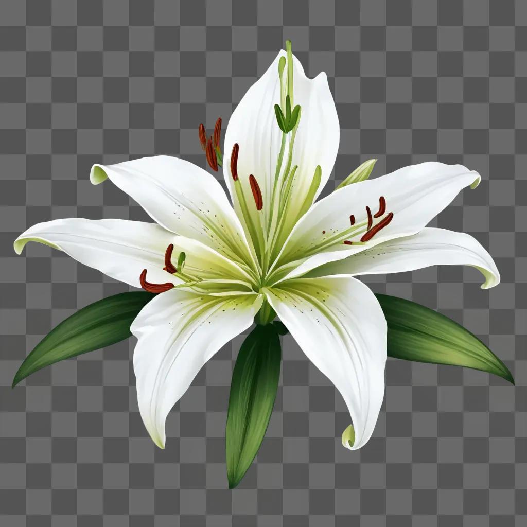 A white lily flower drawing in a digital format