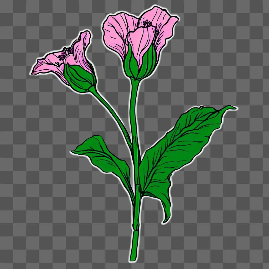 Aesthetic drawing of a flower with a green background