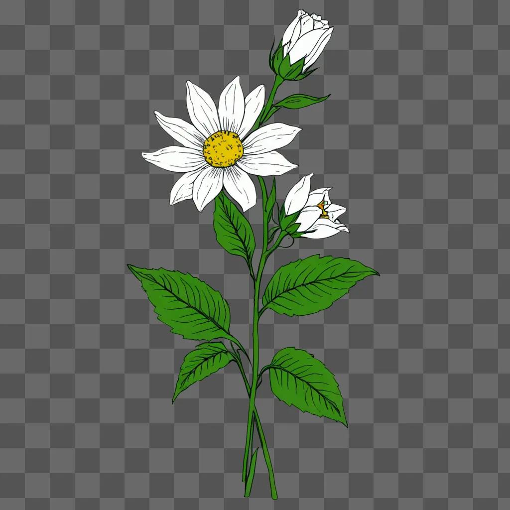 Aesthetic flower drawing of a daisy with green leaves