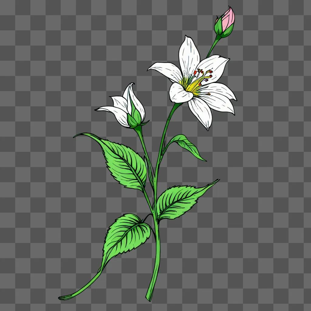 Aesthetic flower drawing of white and pink flowers on green background