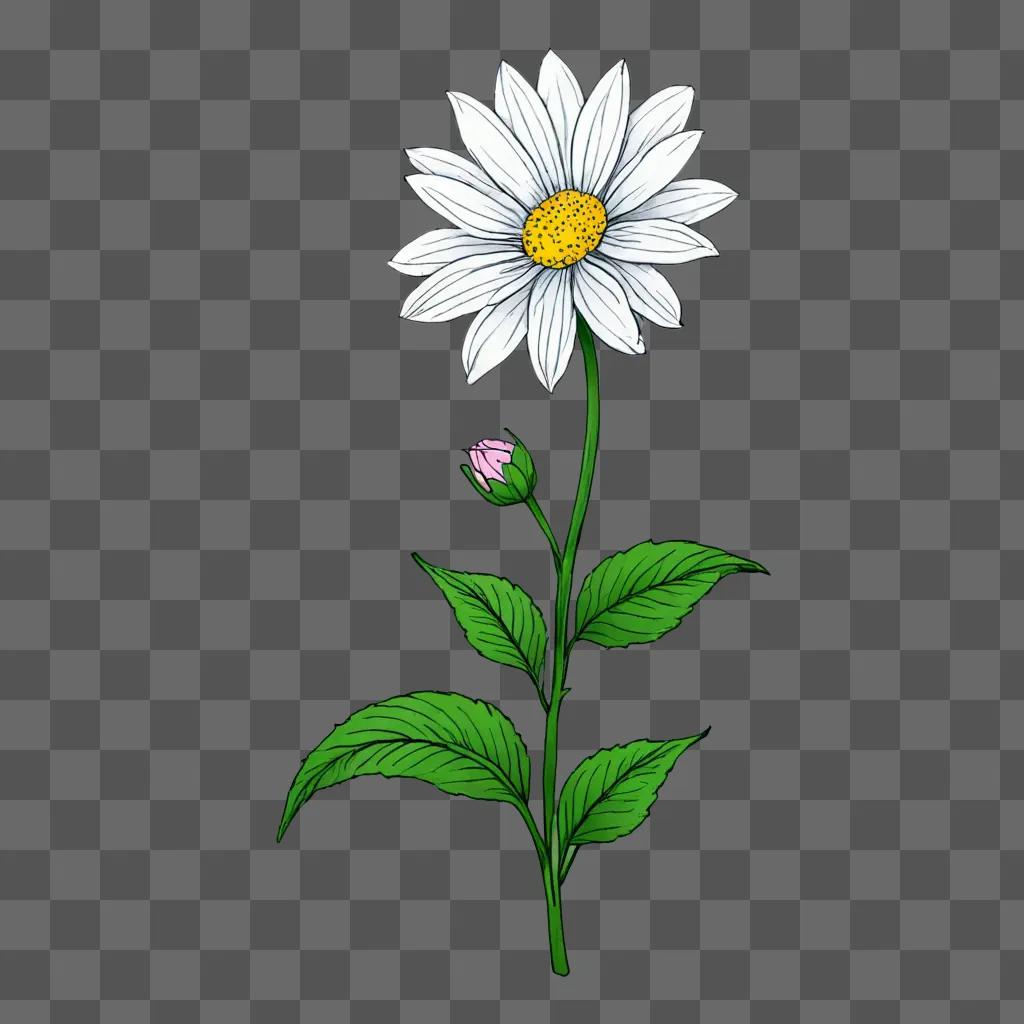 Aesthetic flower drawing on a green background