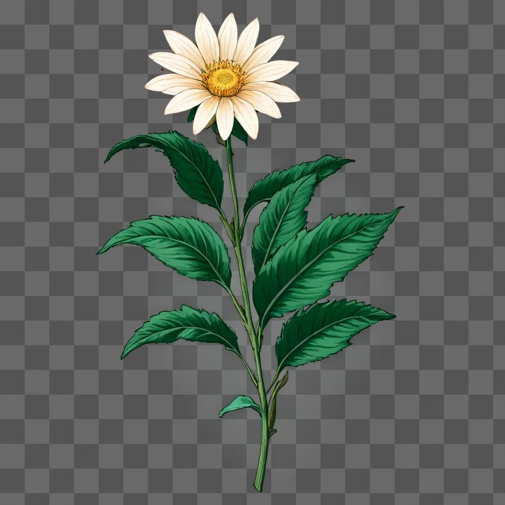 Aesthetic flower drawing on a green background