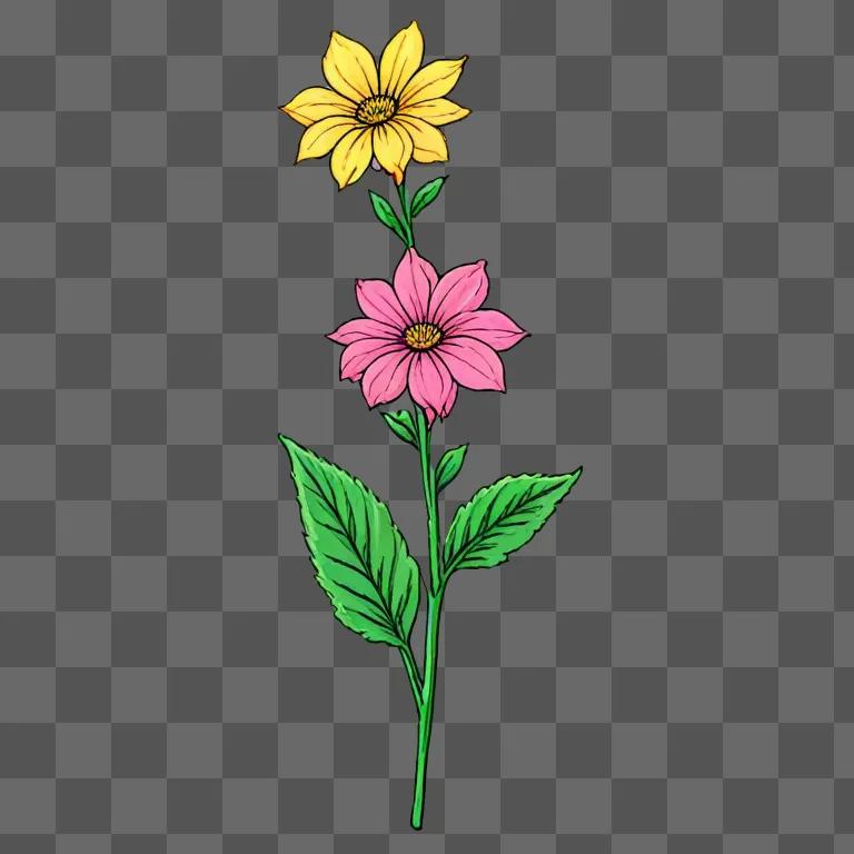 Aesthetic flower drawing with a bright yellow flower and pink flower