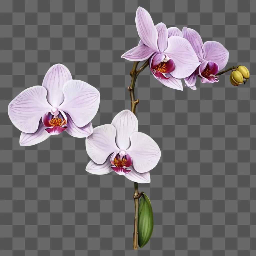 An artistic depiction of a beautiful orchid flower