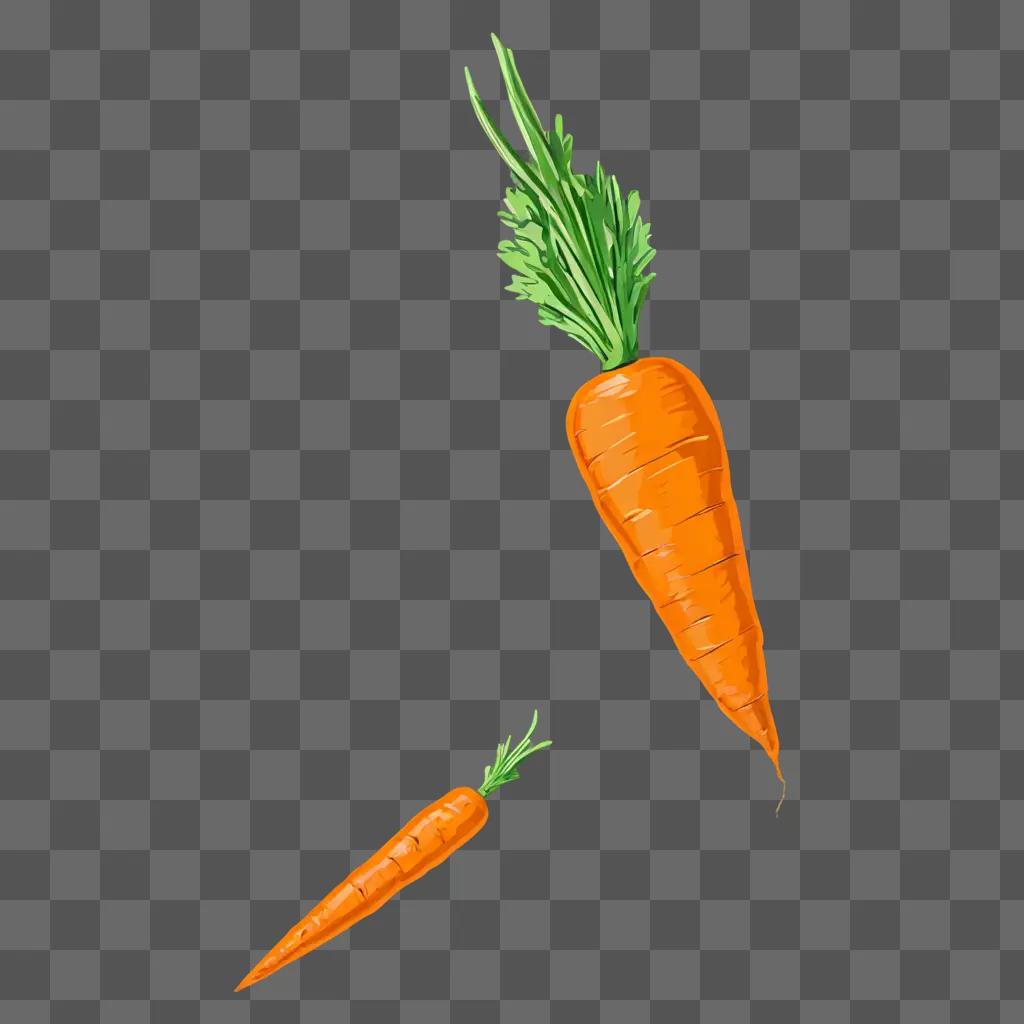 An orange sketch carrot drawing is shown