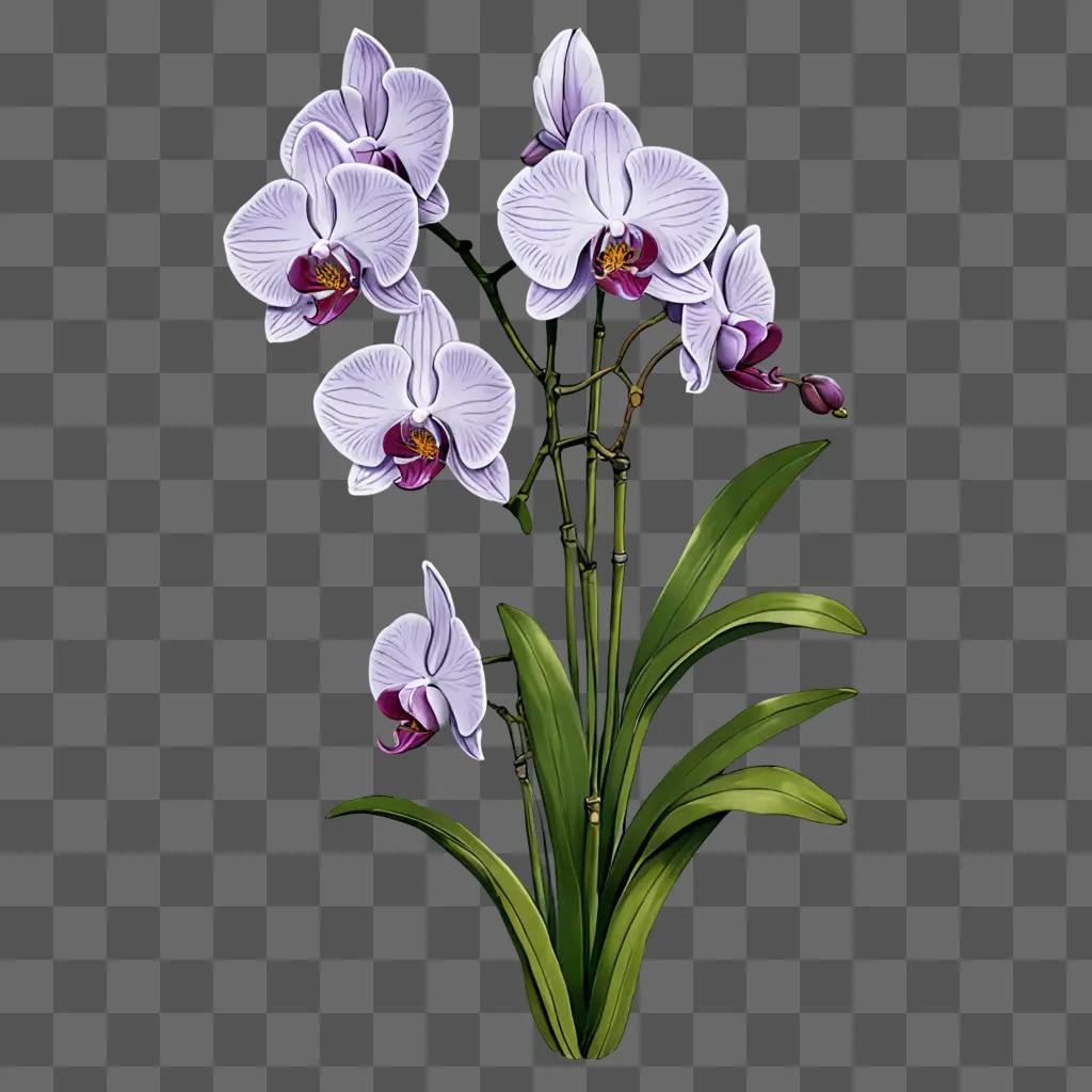 An orchid flower drawing with purple petals and green leaves