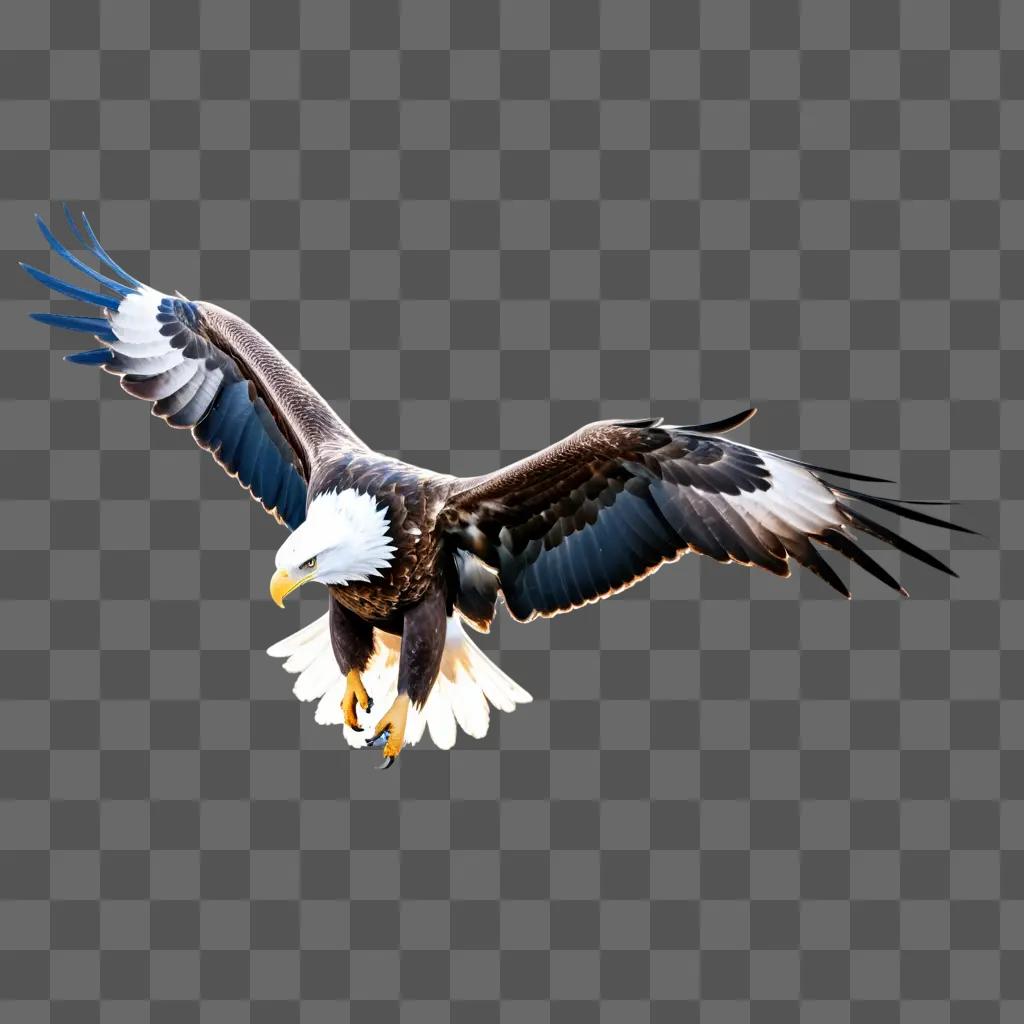 Bald eagle with glinting wings in a light-filled background