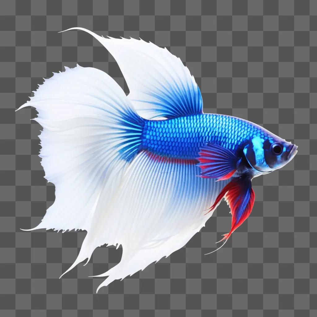 Betta fish with a red tail swims through the water