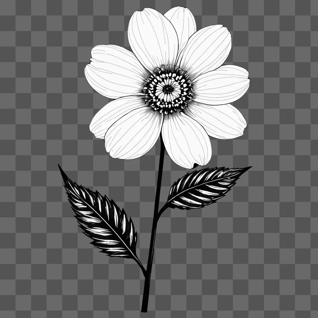 Black and white flower drawing with leaf