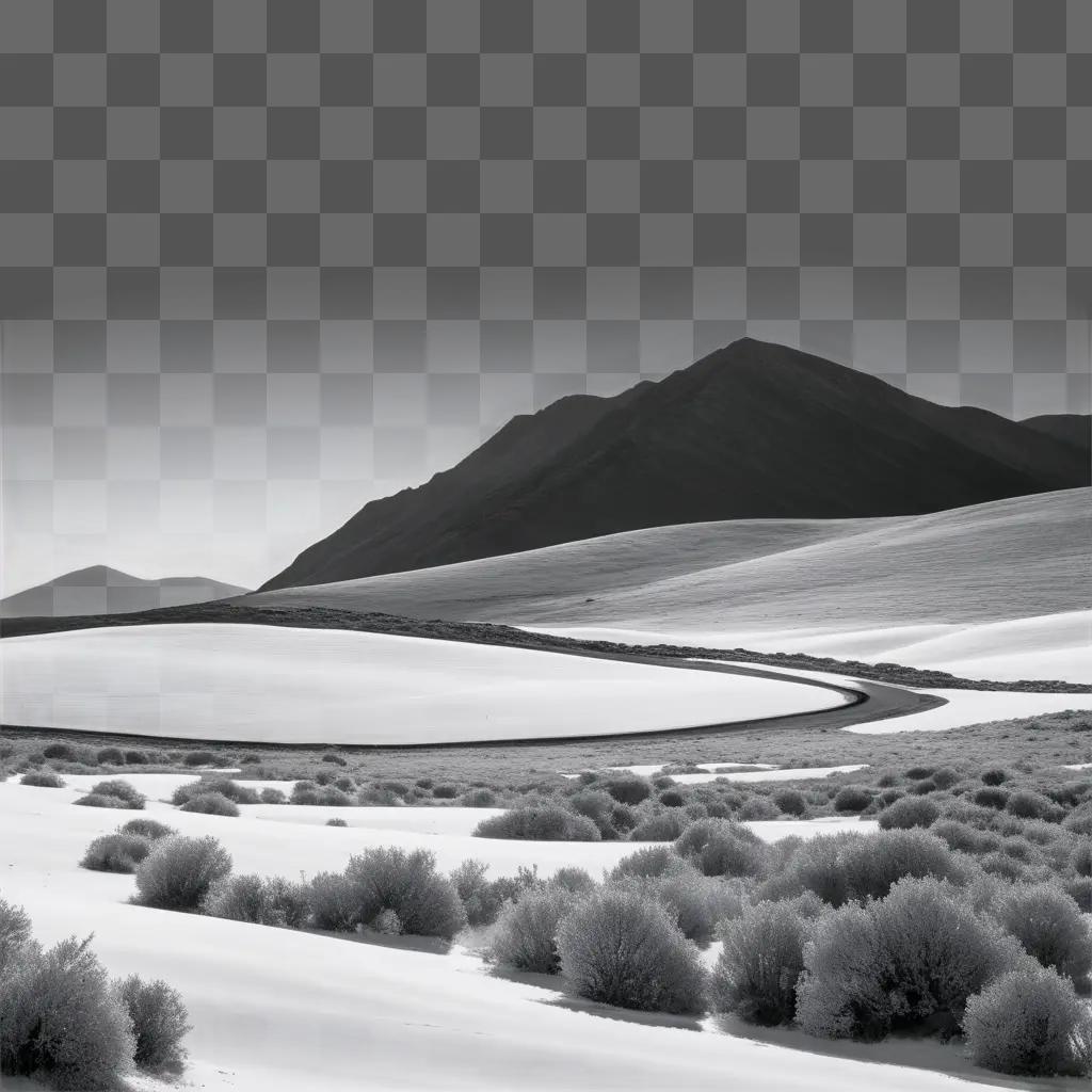 Black and white image of snowy landscape