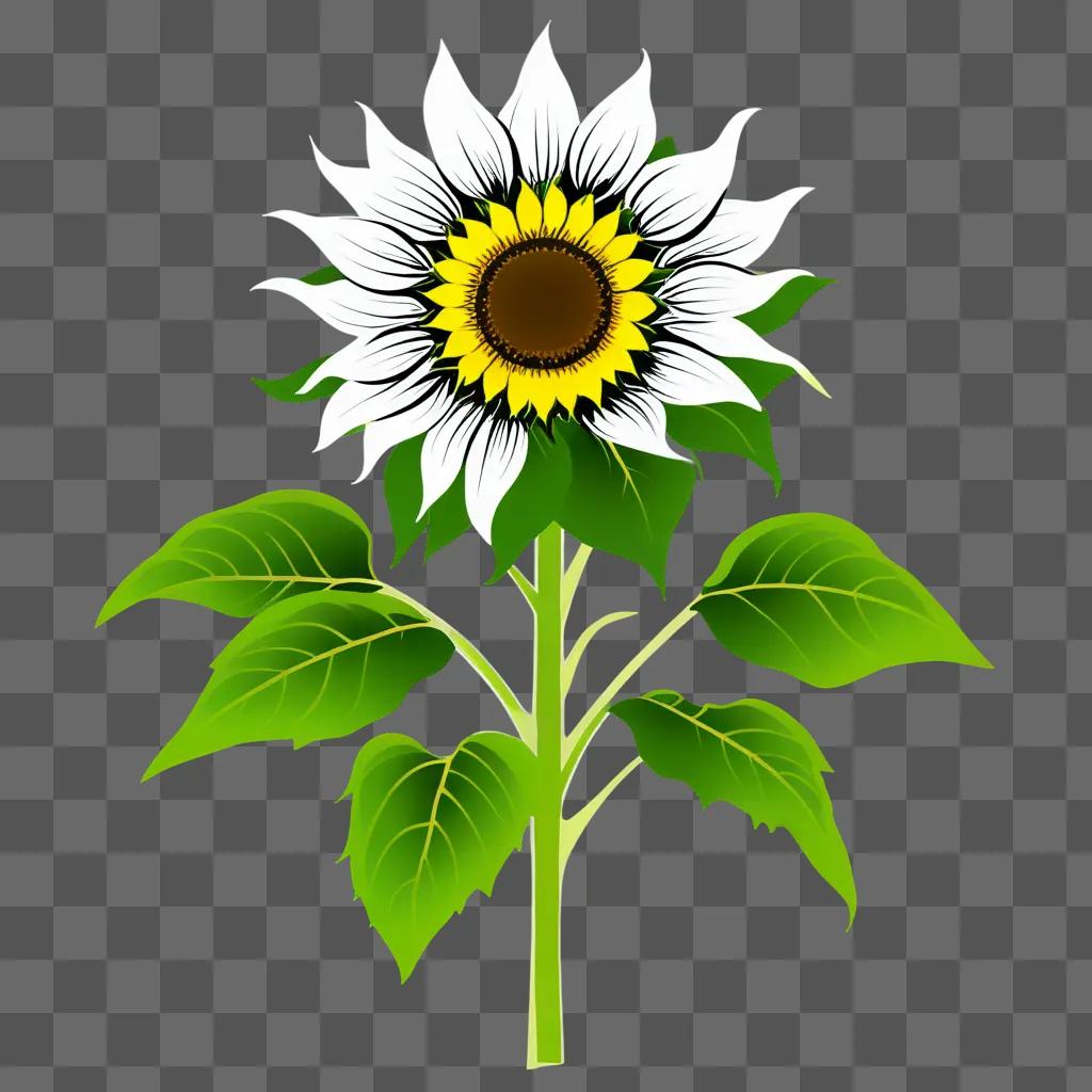 Black and white sunflower clipart on a green background